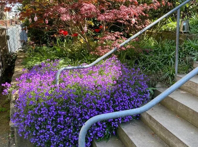 Am Hohenrand Leubnitz Dresde