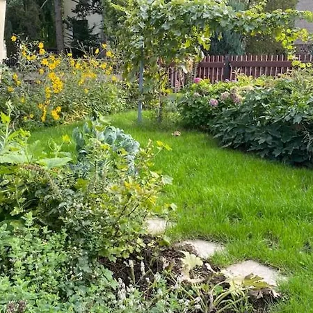 شقة Am Hohenrand Leubnitz دريسدن