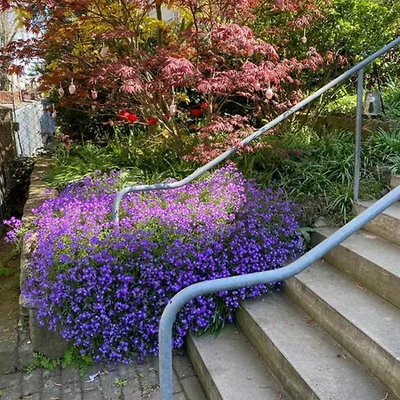 Am Hohenrand Leubnitz Drezno